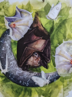 Object Natura Shy Bat Print - 8x8