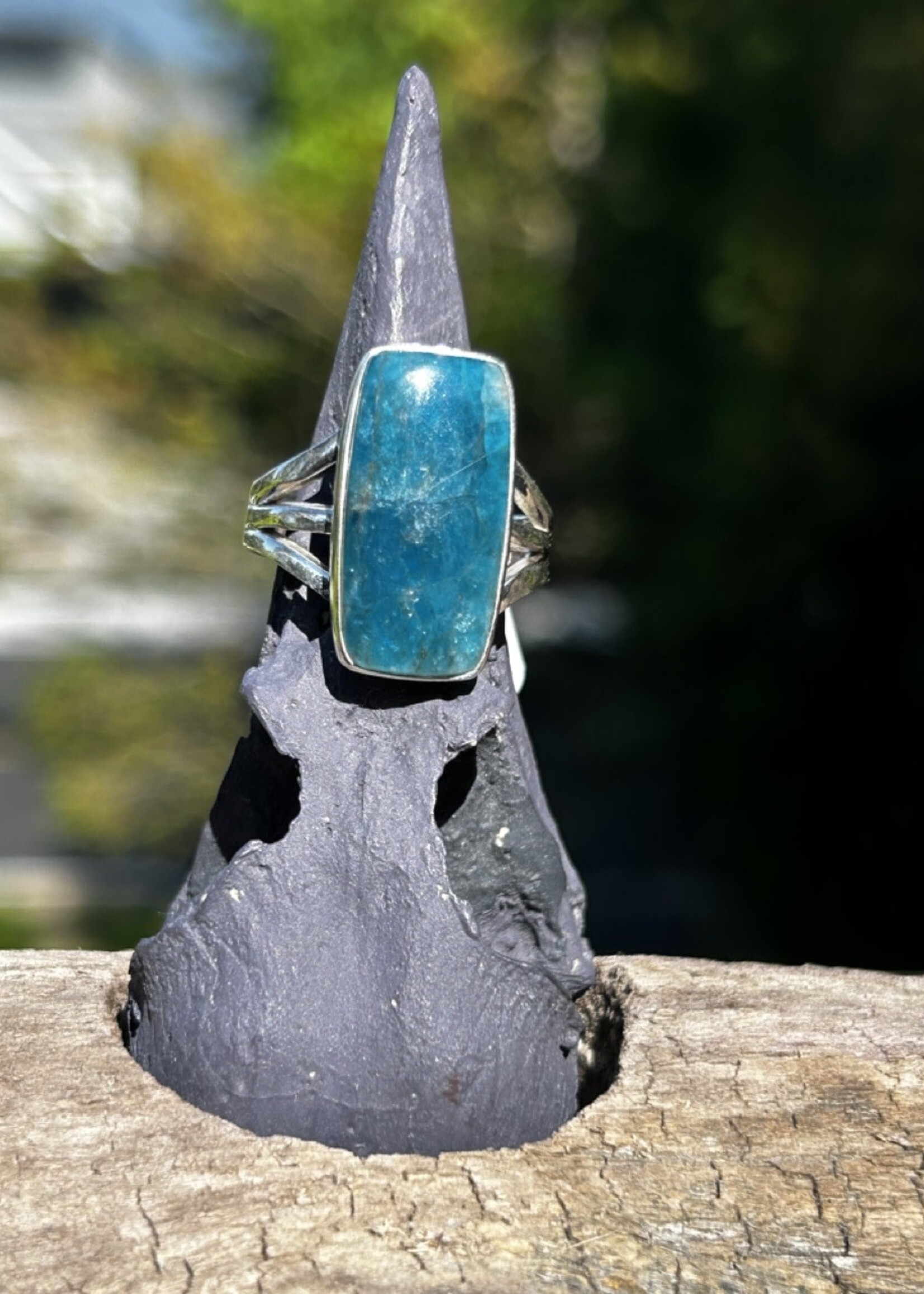 Nugent Neon Blue Apatite Rectangle in Sterling Silver - Size 8