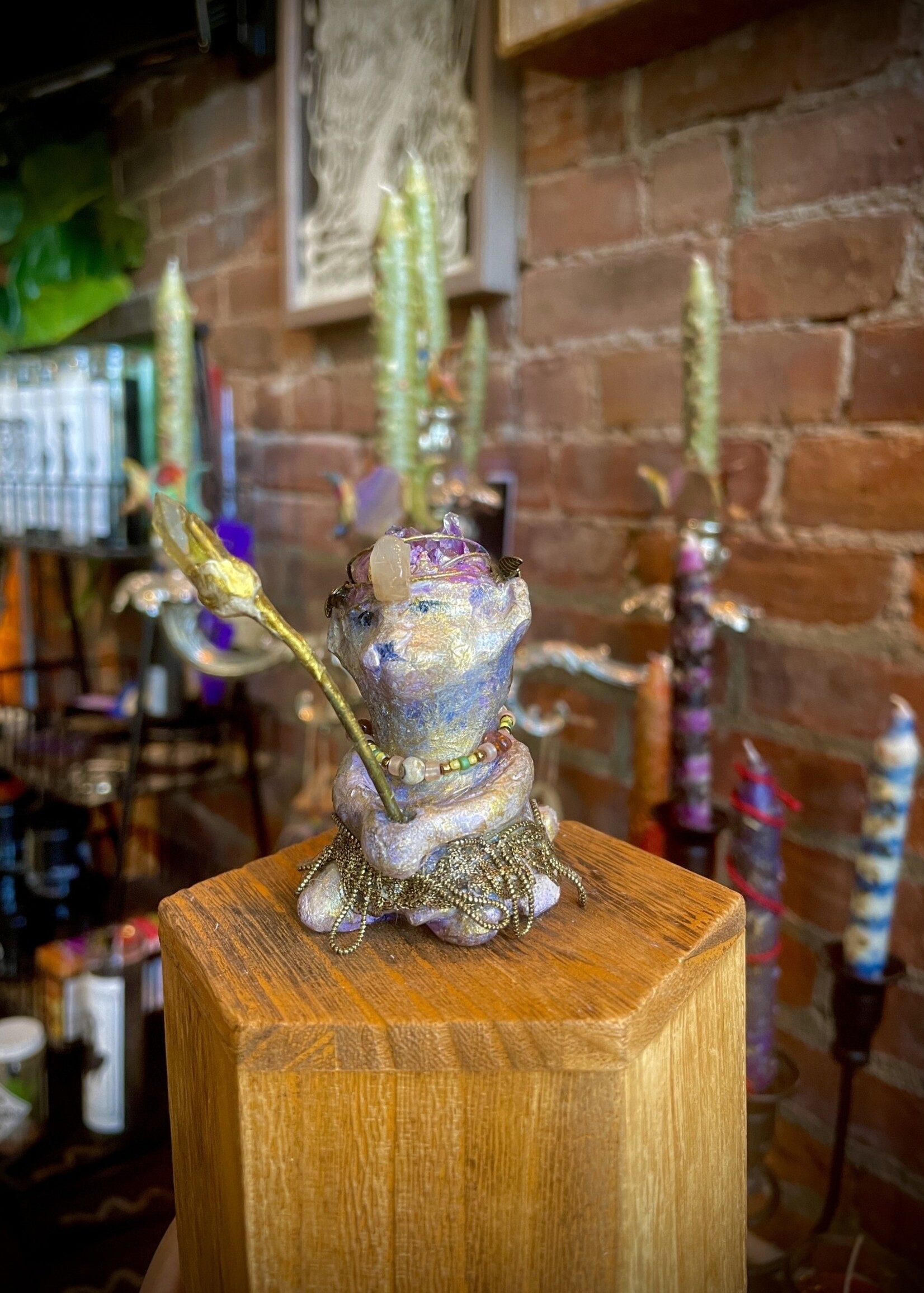 Pamela Johnson Apprentice Sorcerer 1