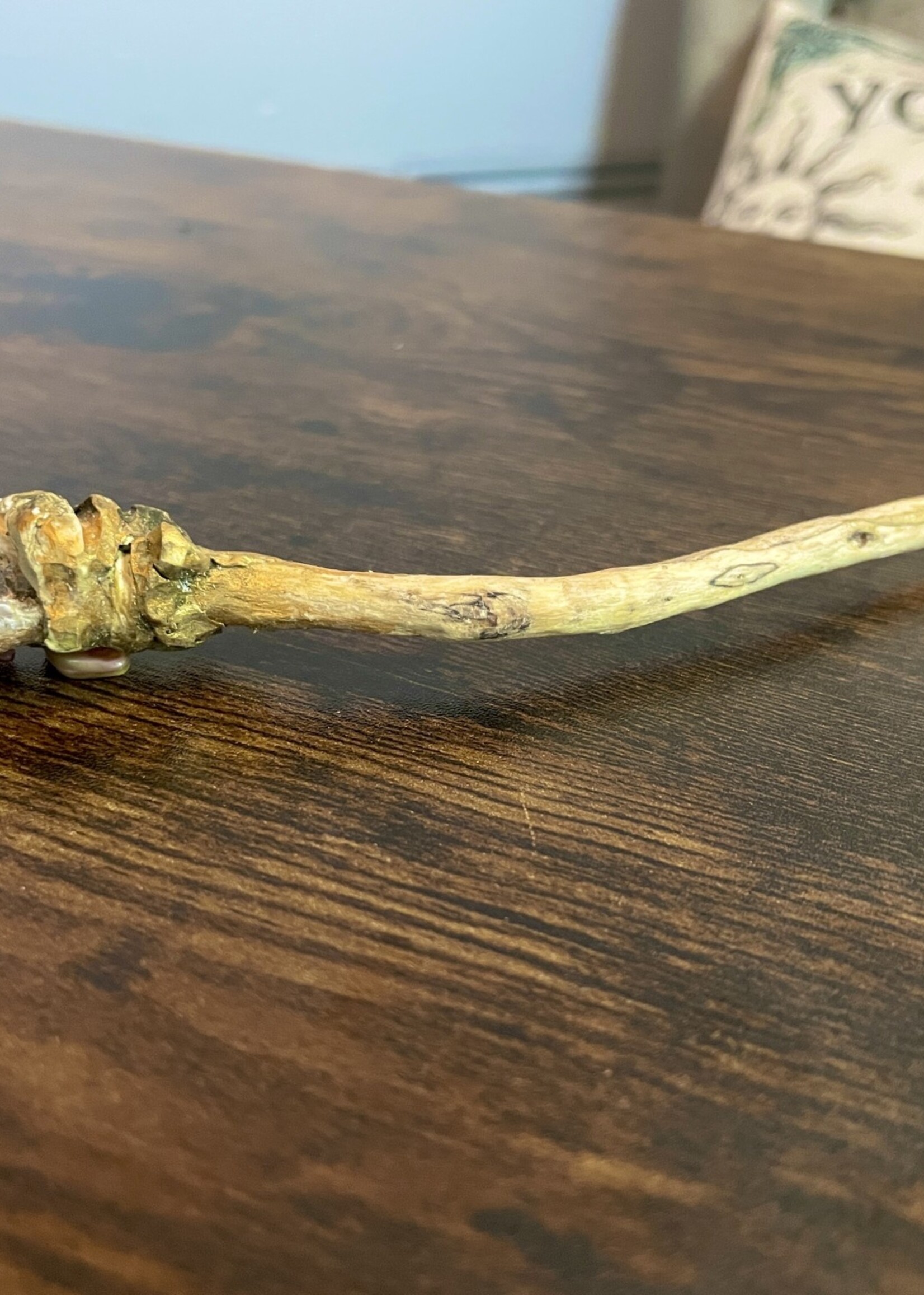 Pamela Johnson Medium Spirit Wand (v2)