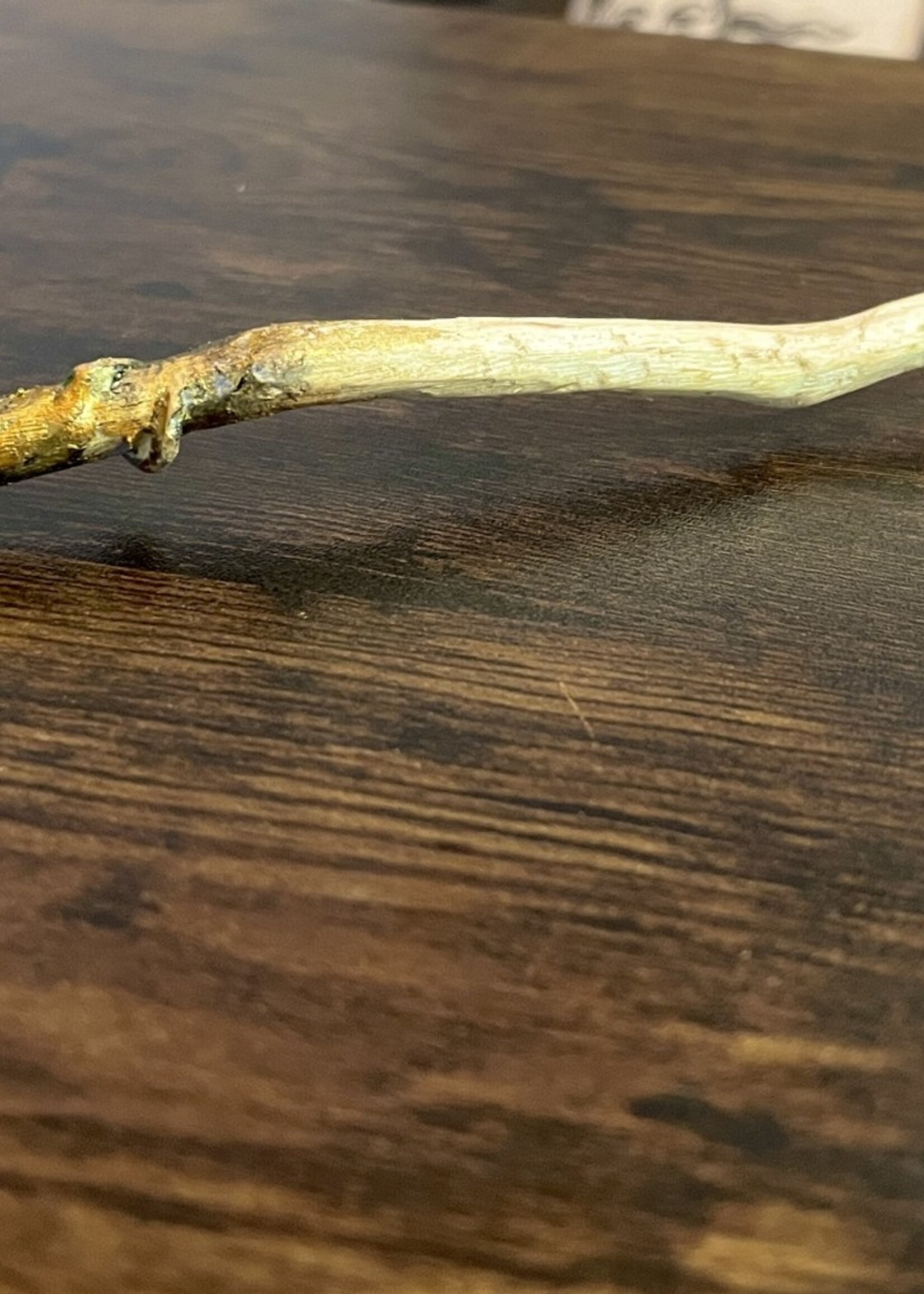 Pamela Johnson Medium Spirit Wand (v3)