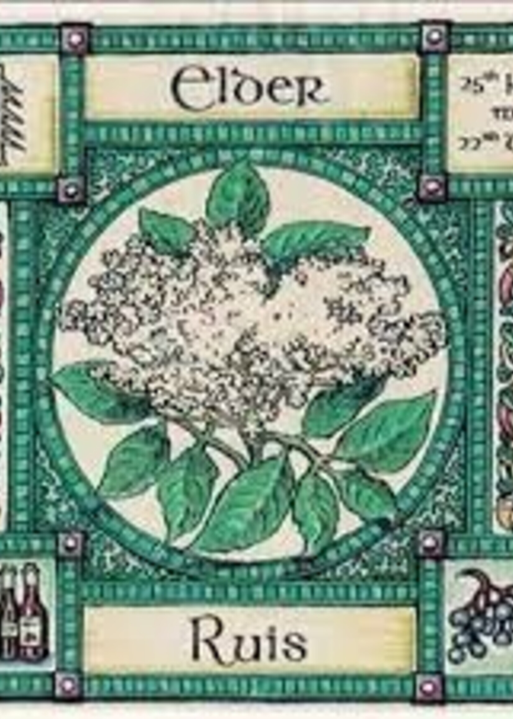 Modern Druid Ogham Class with Morgana - Aicme 3 - Ruis (Elder)