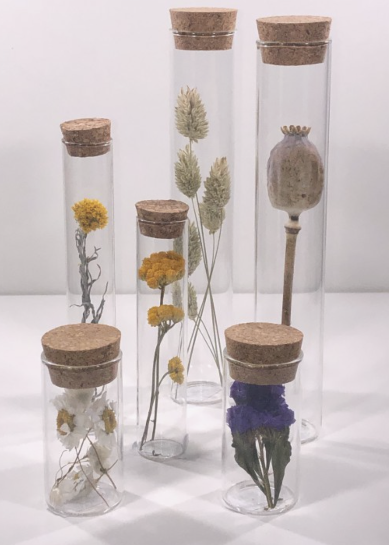 Modern Druid Glass Tube with dried flowers 10 CM - Assorted