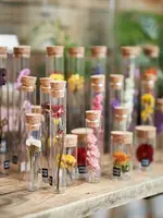 Modern Druid 10CM Tubes with Dried Flowers- Assorted
