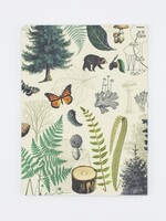 Cognitive Surplus Forest & Trees Softcover - Lined