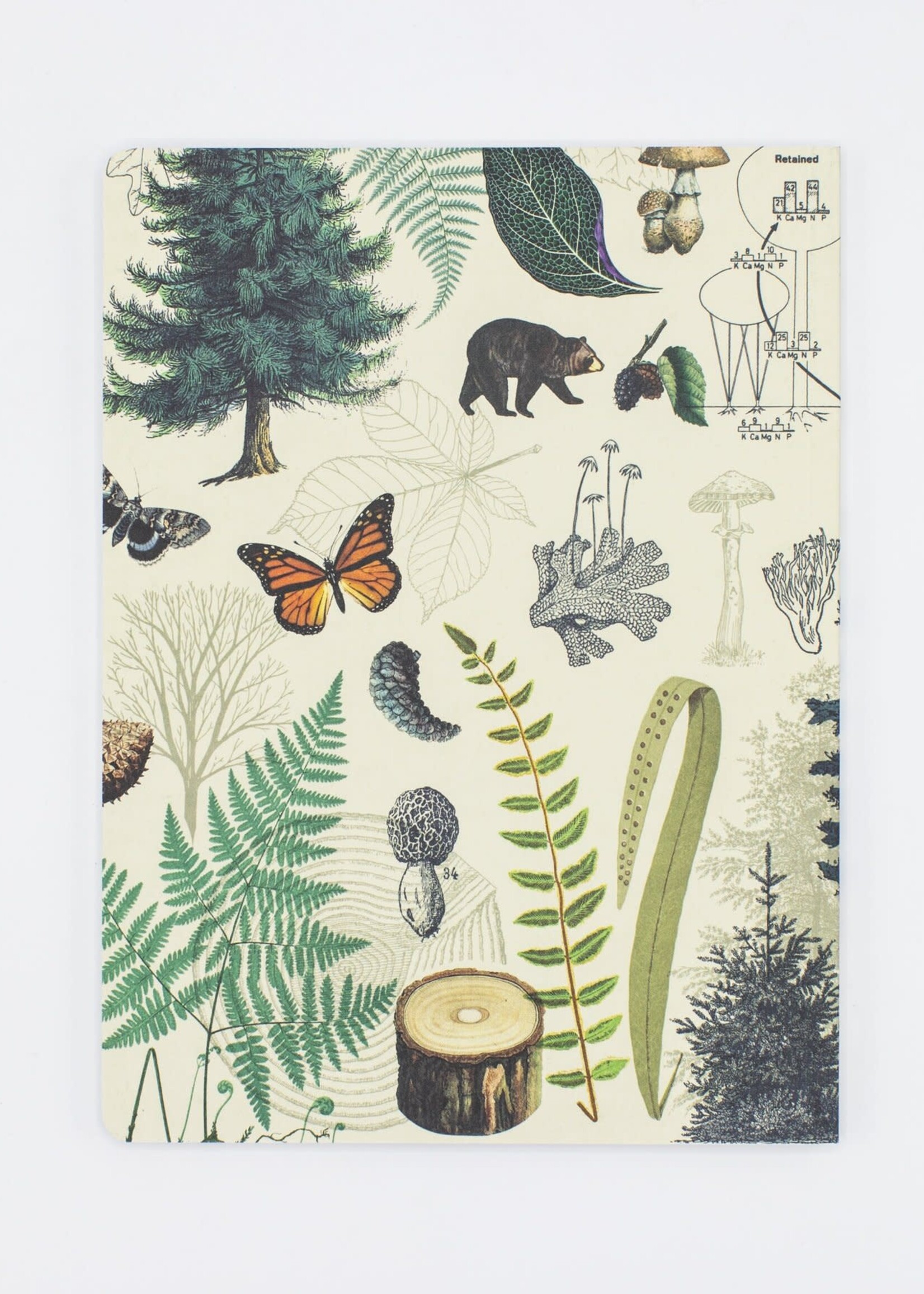 Cognitive Surplus Forest & Trees Softcover - Lined