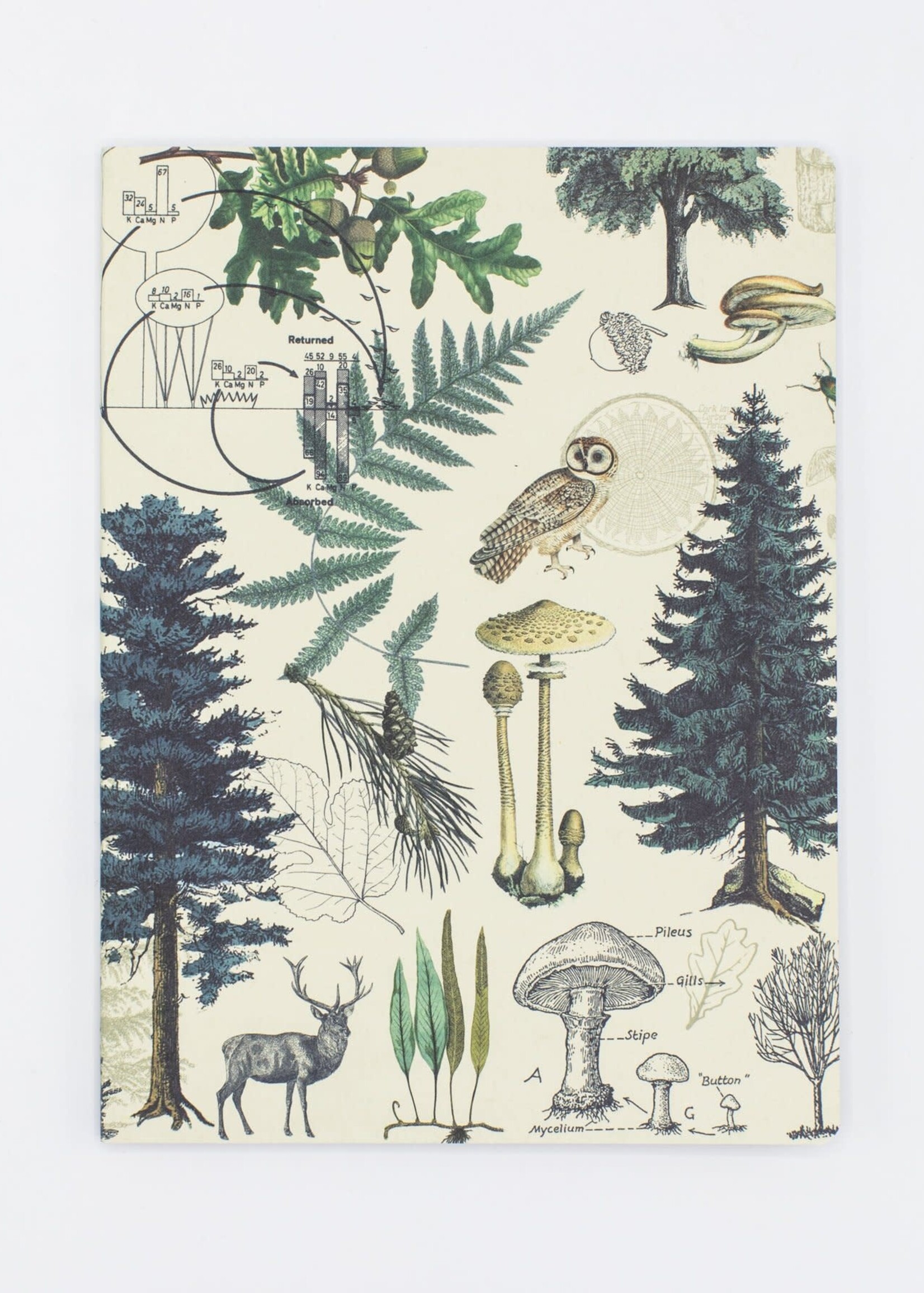 Cognitive Surplus Forest & Trees Softcover - Lined