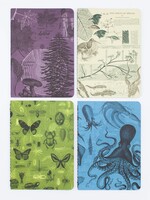 Cognitive Surplus Natural Science Pocket Notebook 4-pack