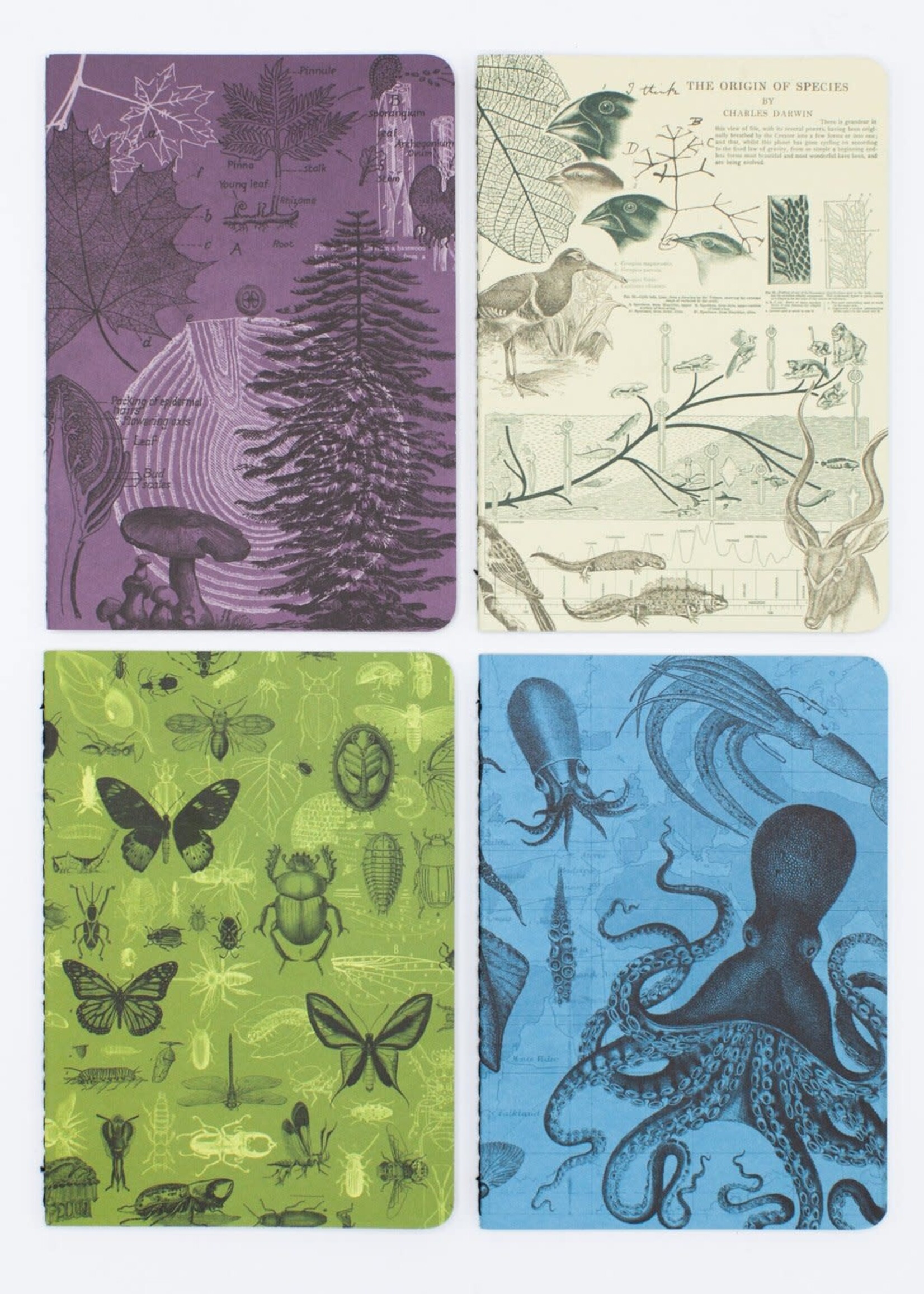 Cognitive Surplus Natural Science Pocket Notebook 4-pack