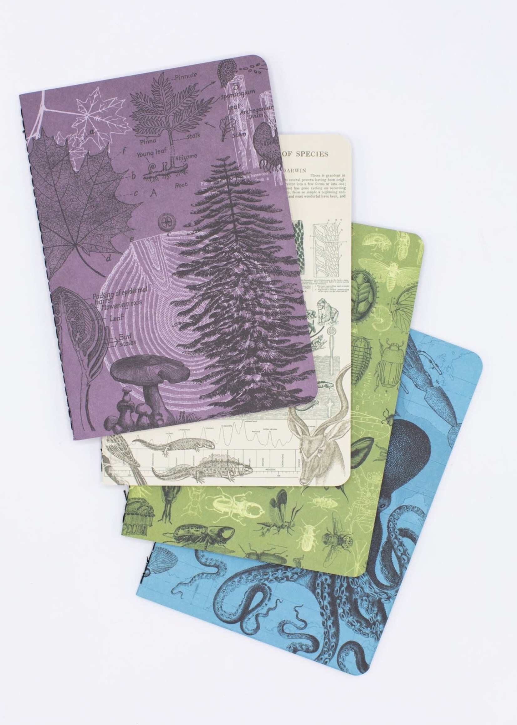 Cognitive Surplus Natural Science Pocket Notebook 4-pack