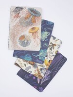 Cognitive Surplus Ocean Pocket Notebook 4-pack