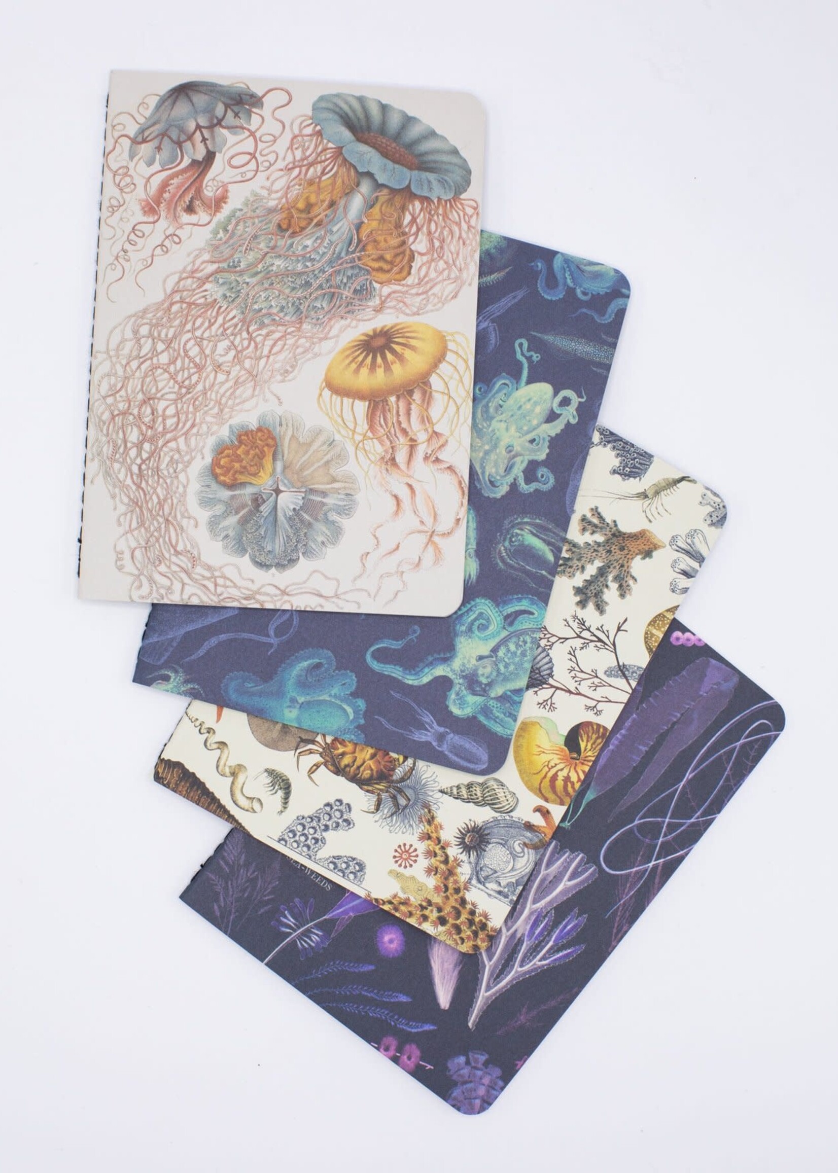 Cognitive Surplus Ocean Pocket Notebook 4-pack