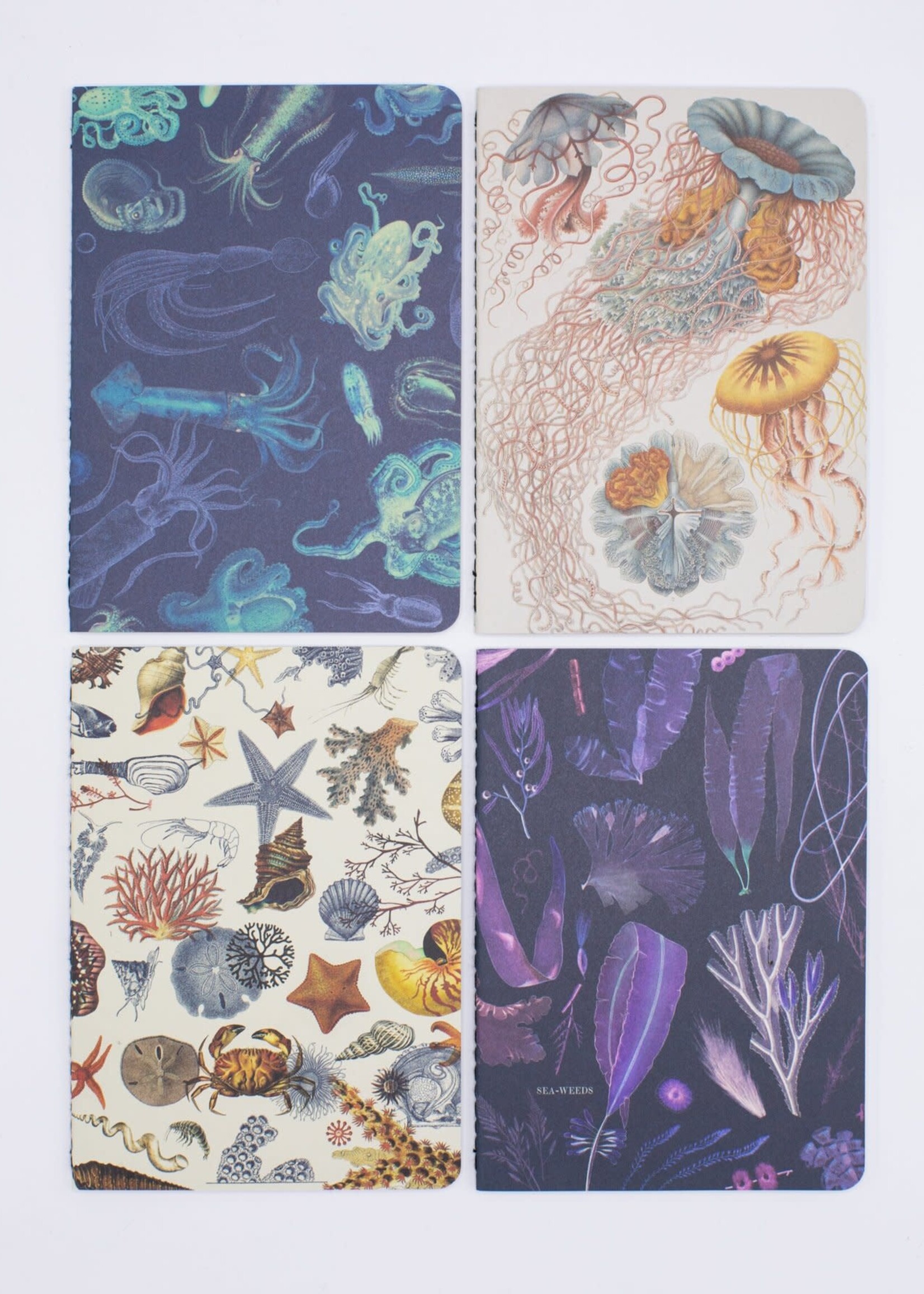 Cognitive Surplus Ocean Pocket Notebook 4-pack