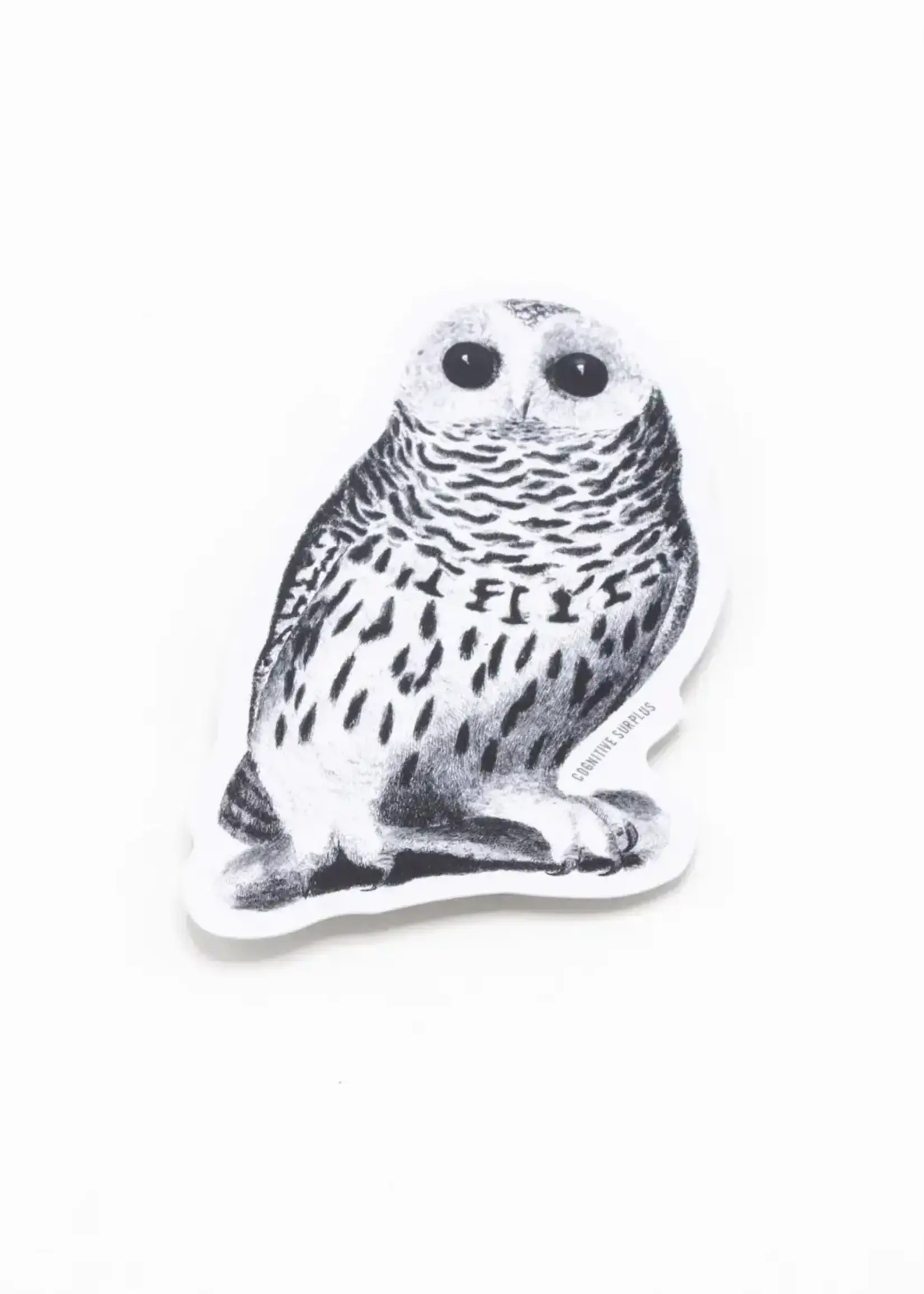 Cognitive Surplus Snowy Owl Sticker