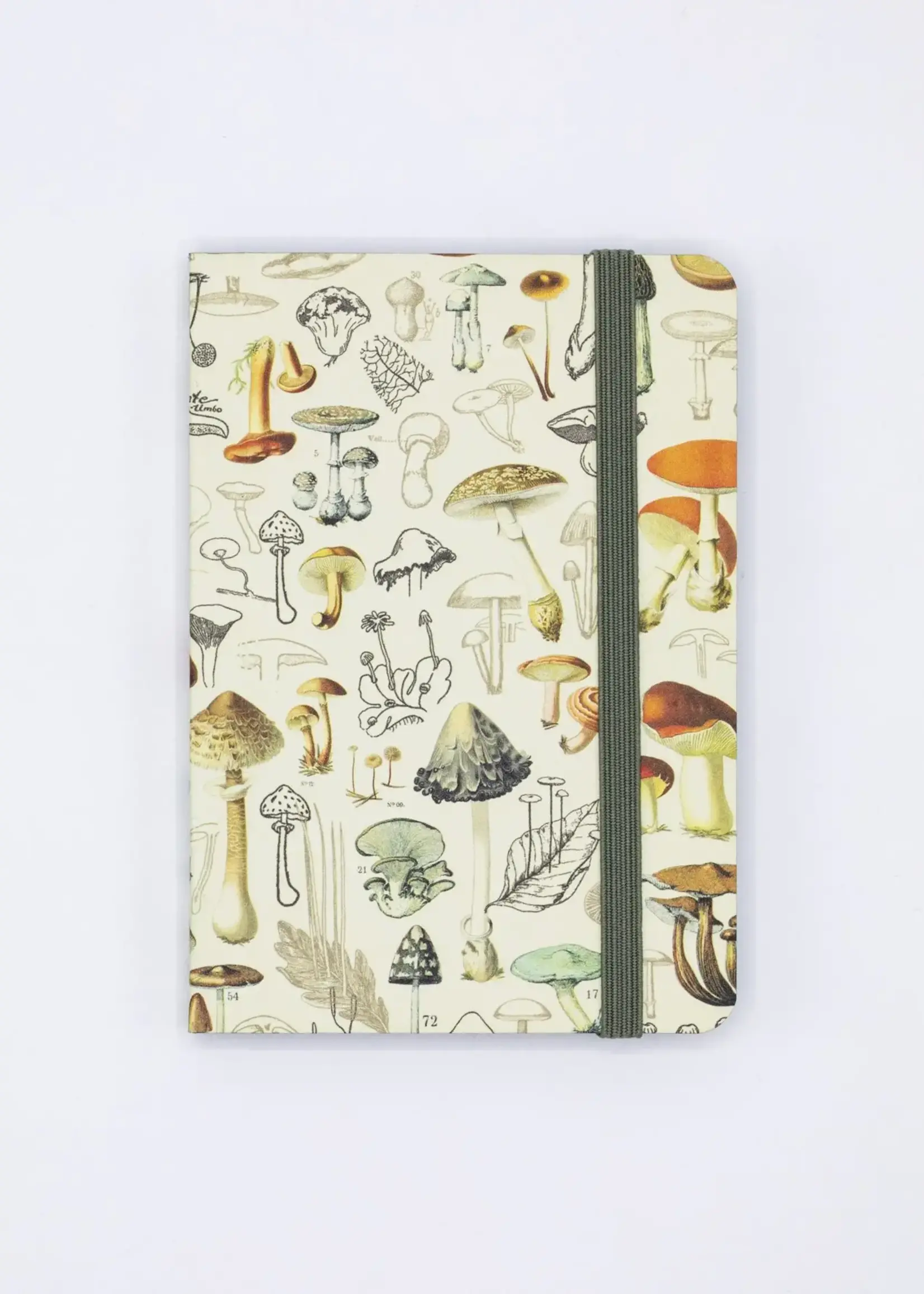 Cognitive Surplus Woodland Mushrooms Observation Softcover