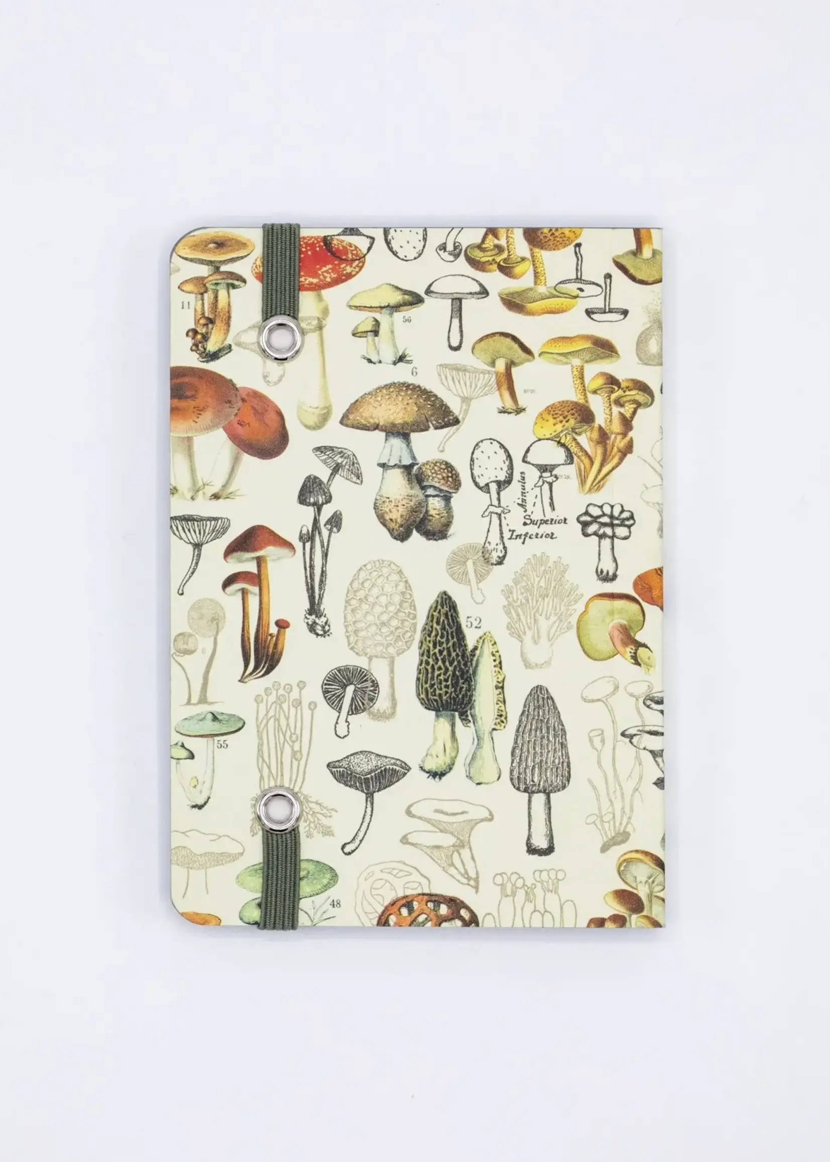 Cognitive Surplus Woodland Mushrooms Observation Softcover