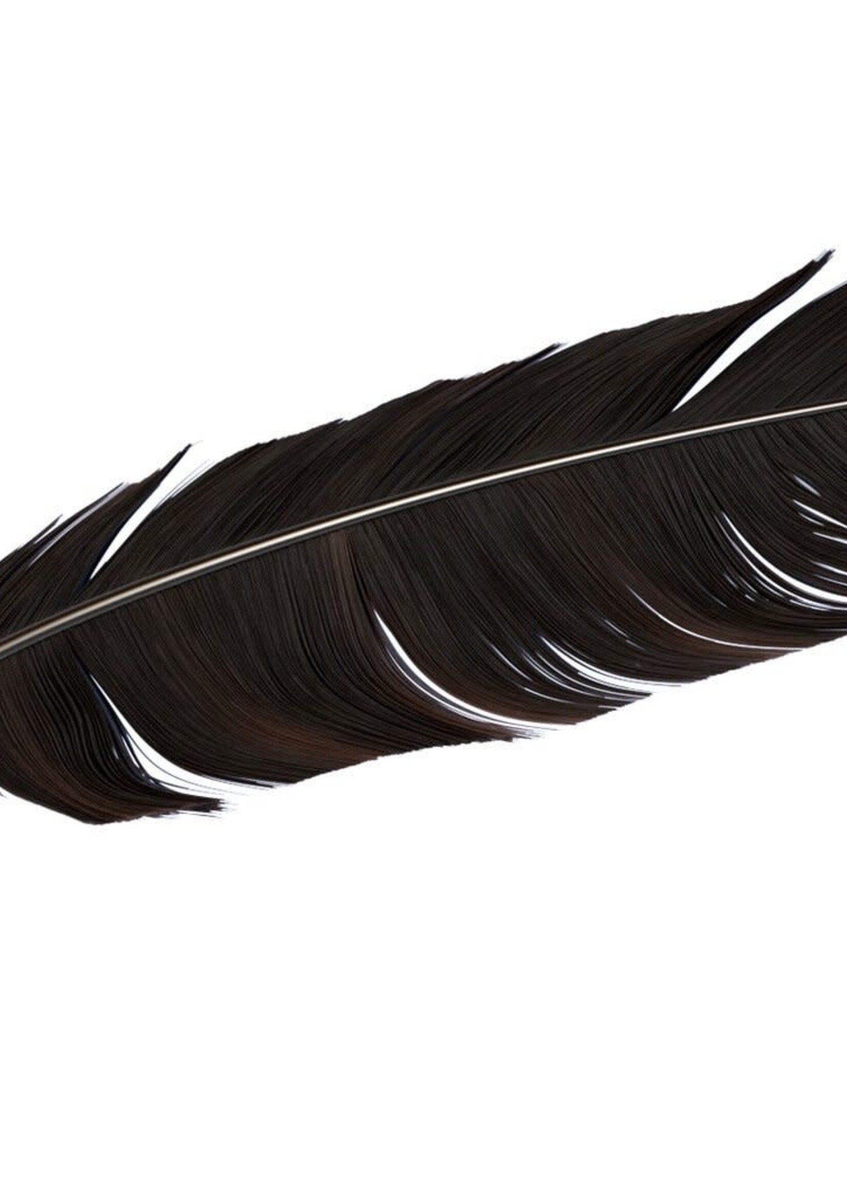 Modern Druid Crow Feather
