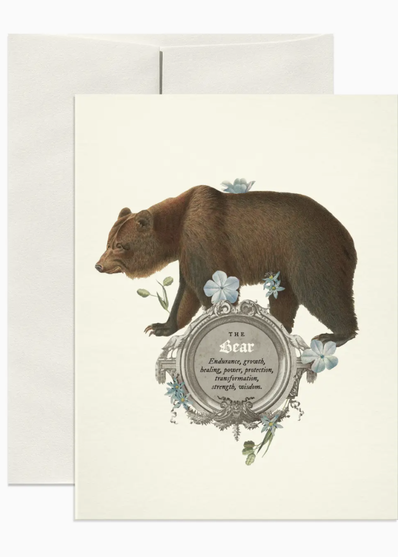 Open Sea The Bear Symbolism Card