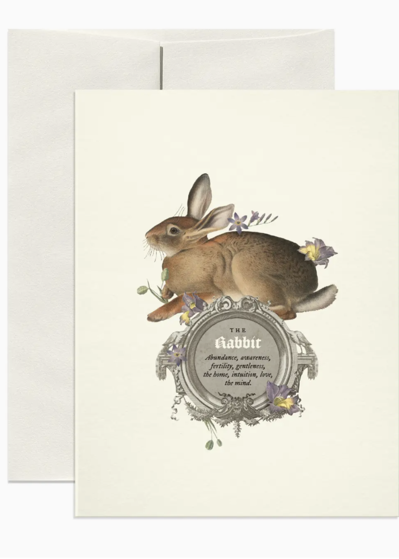 Open Sea The Rabbit Symbolism Card