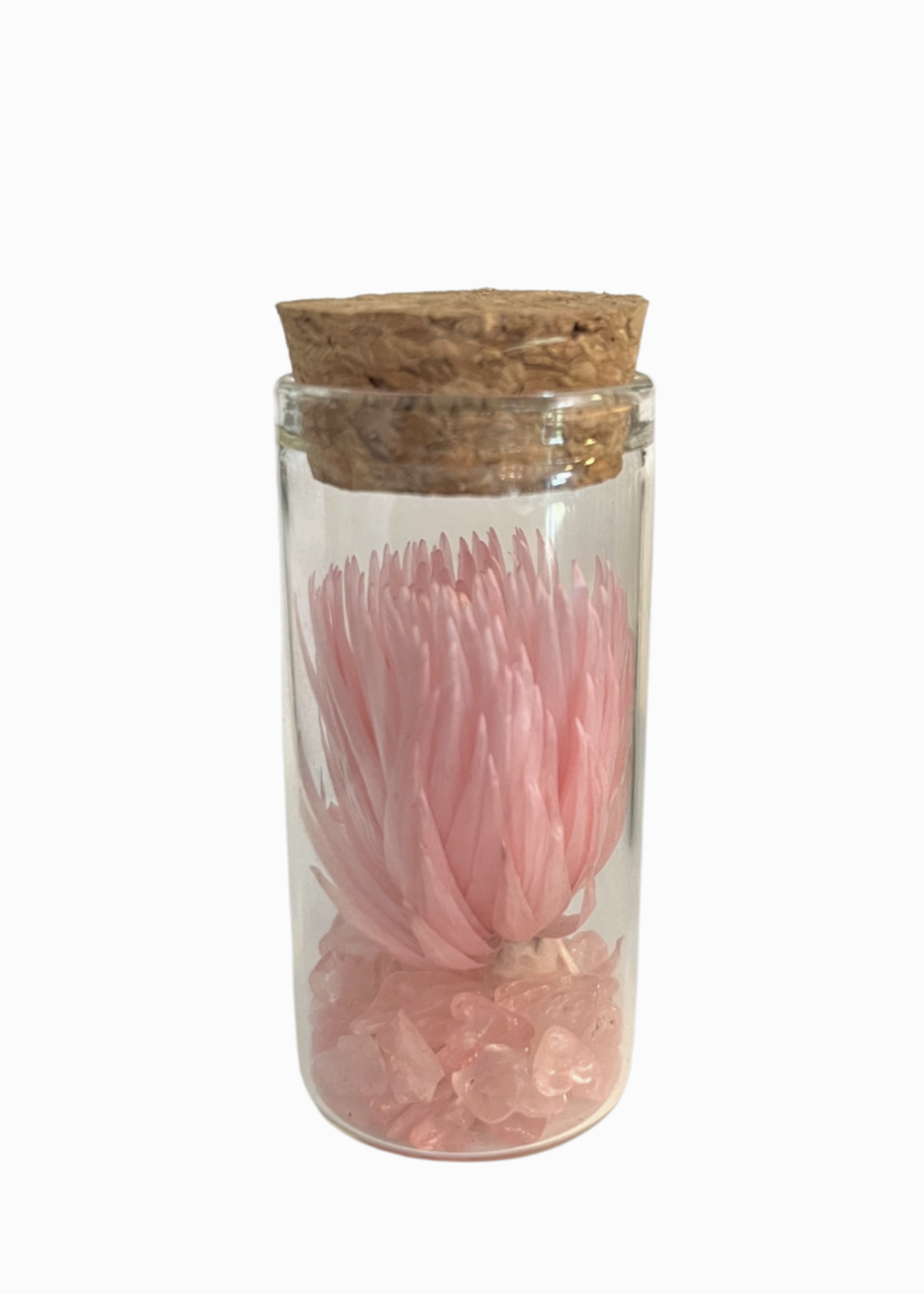 Muno Gems and Dried Flowers in Glass Tubes (Small)