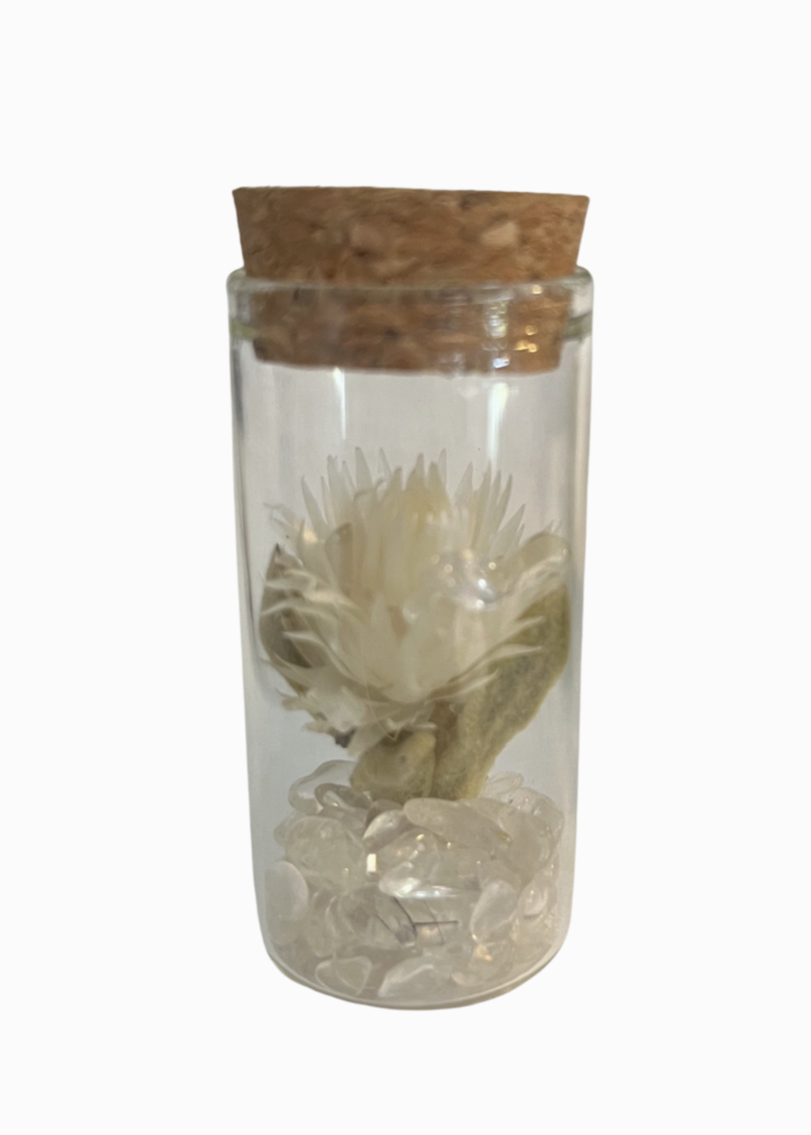 Muno Gems and Dried Flowers in Glass Tubes (Small)
