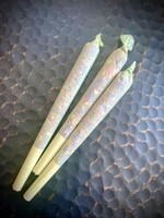 Modern Druid Rose of Venus 3-Pack Pre-Rolls