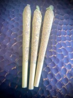 Modern Druid Pax 3-Pack Pre-Rolls