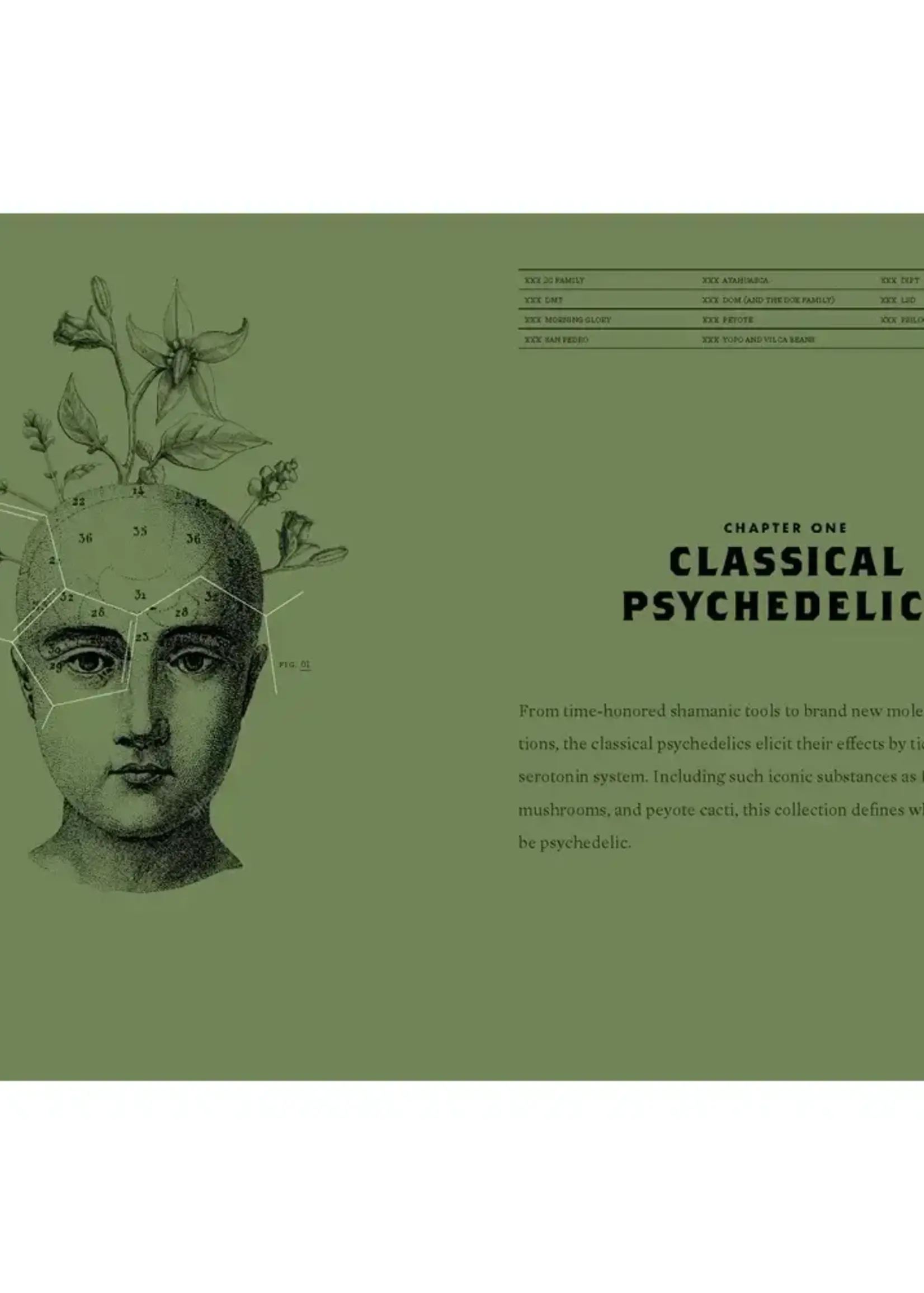 Texas Bookman Magic Medicine - Modern Day Use of Psychedelic Plants