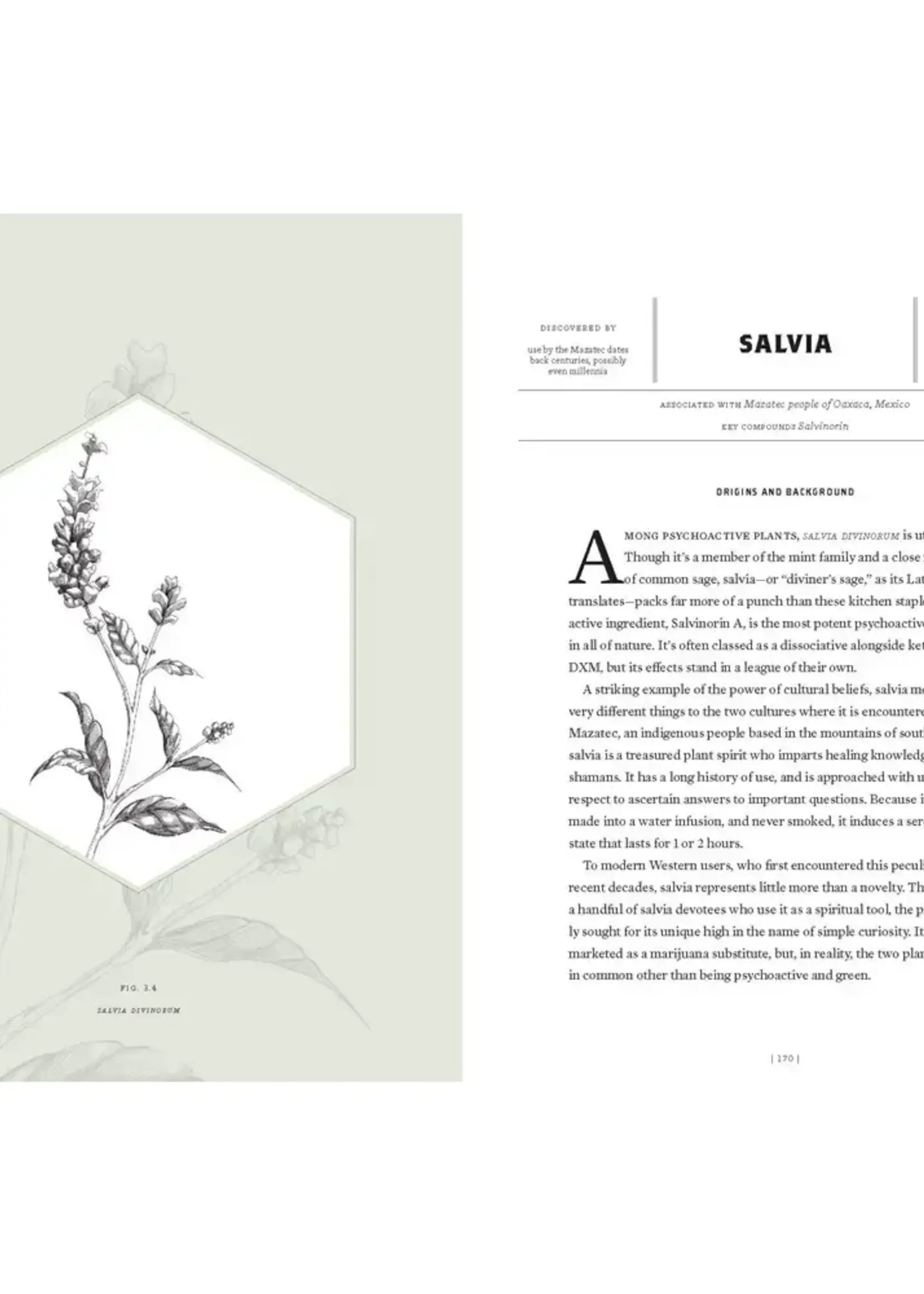 Texas Bookman Magic Medicine - Modern Day Use of Psychedelic Plants