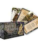 Simon & Schuster Druid Wisdom By Andres Engracia