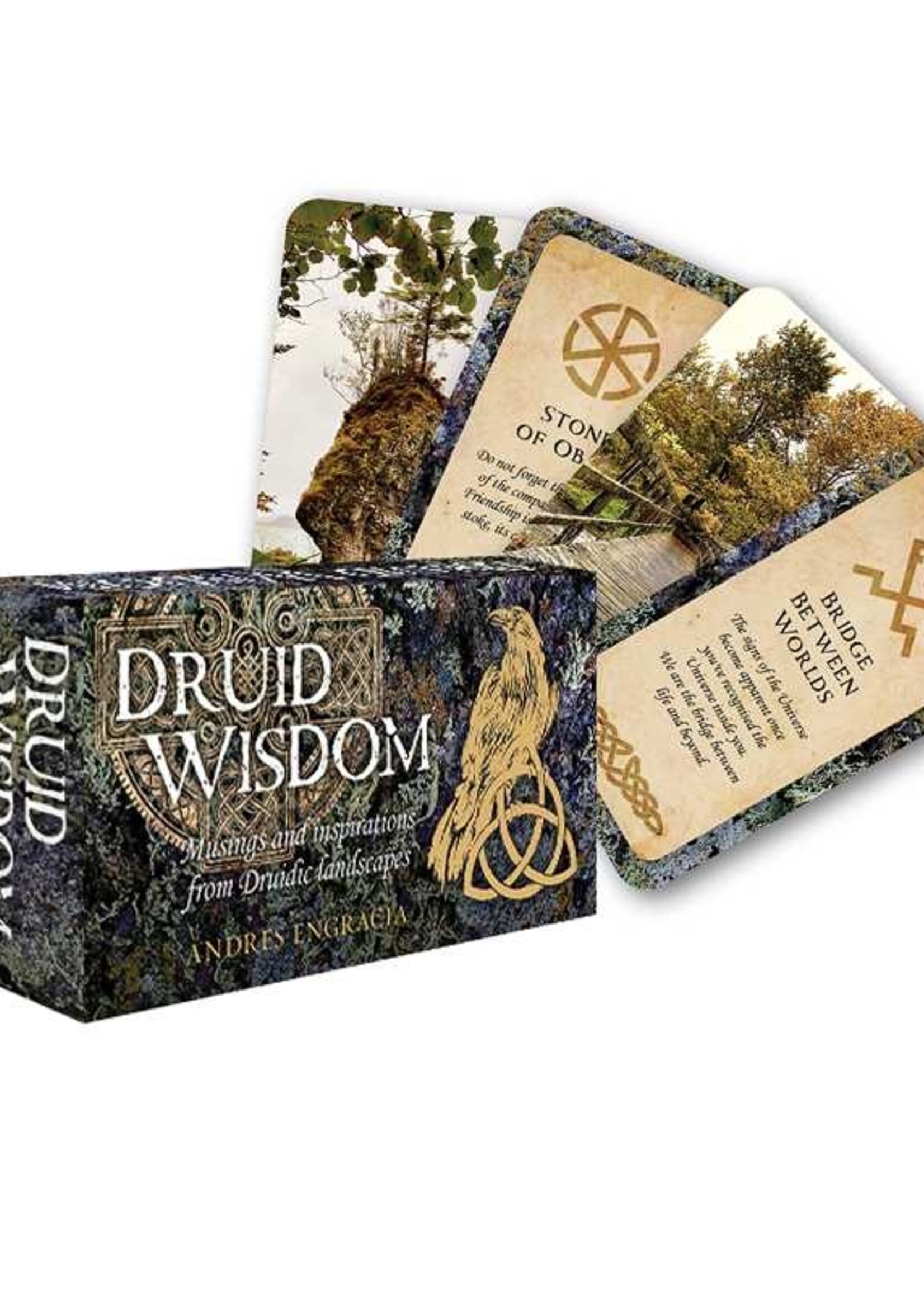 Simon & Schuster Druid Wisdom By Andres Engracia