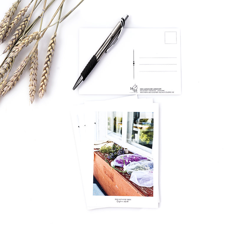 Le 1603 Copy of Carte postale - Fleurs au sechage- vertical