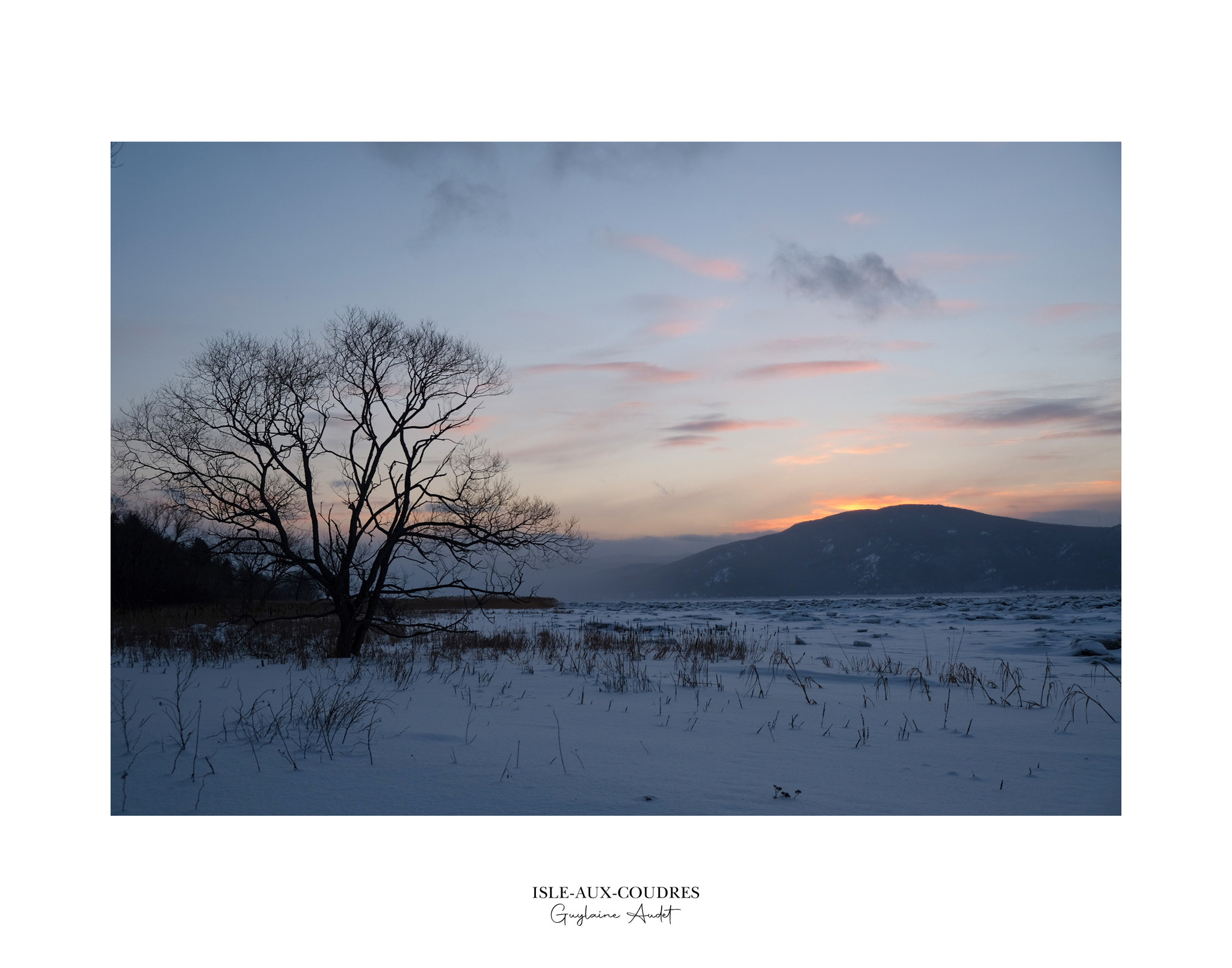 Affiche - Arbre et montagne - horizontal
