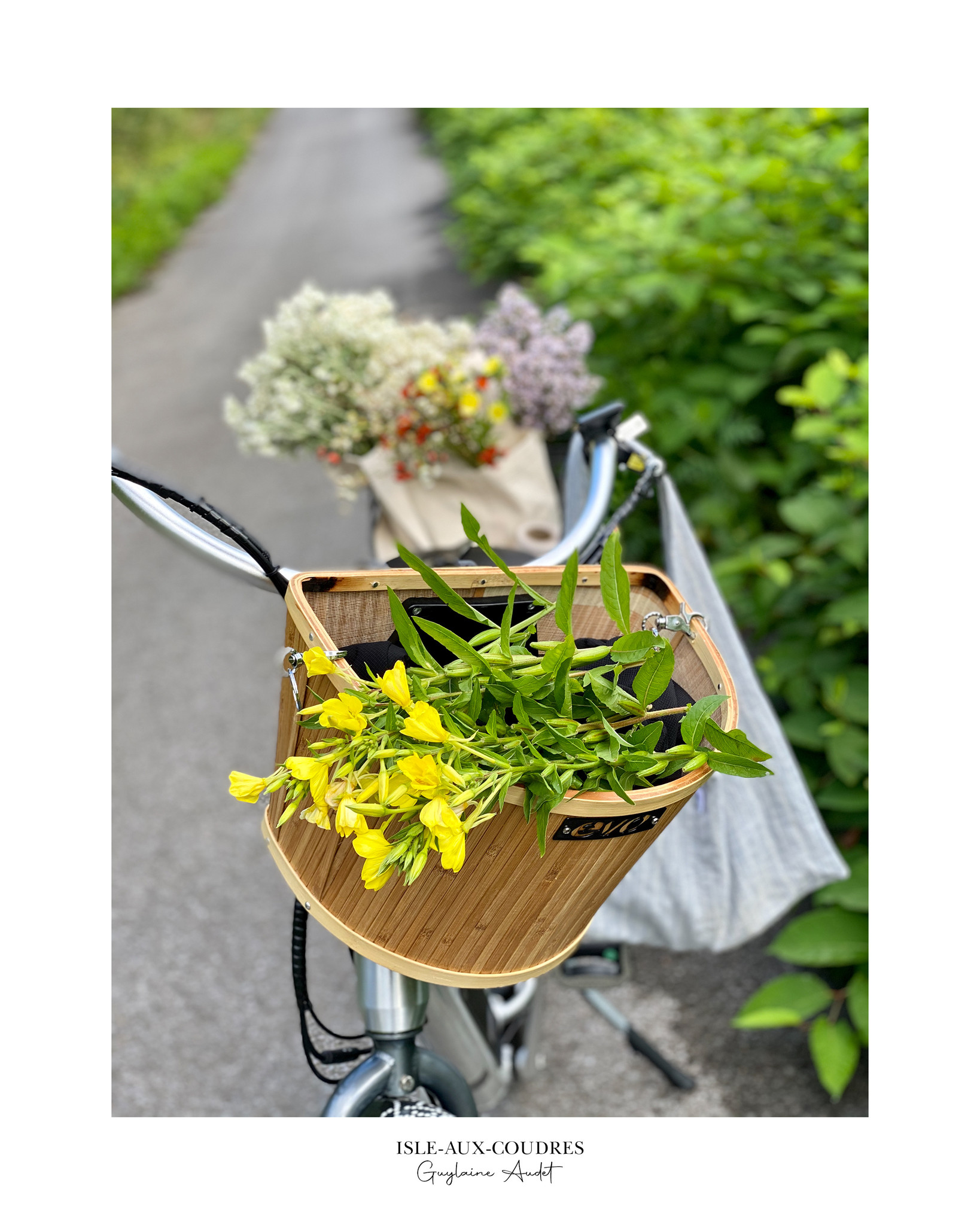 Le 1603 Affiche - Fleurs dans panier vélo - vertical