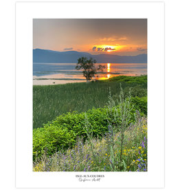 Le 1603 Affiche - Arbre solitaire au coucher du soleil - vertical