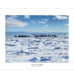 Le 1603 Affiche - Glaces sur la berge - vertical