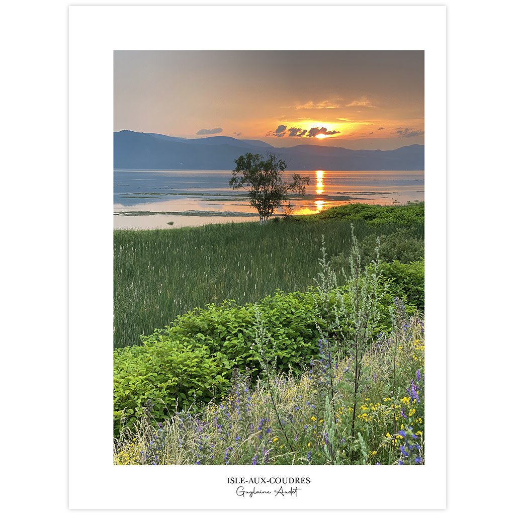 Le 1603 Carnet boudiné - Arbre solitaire au coucher du soleil