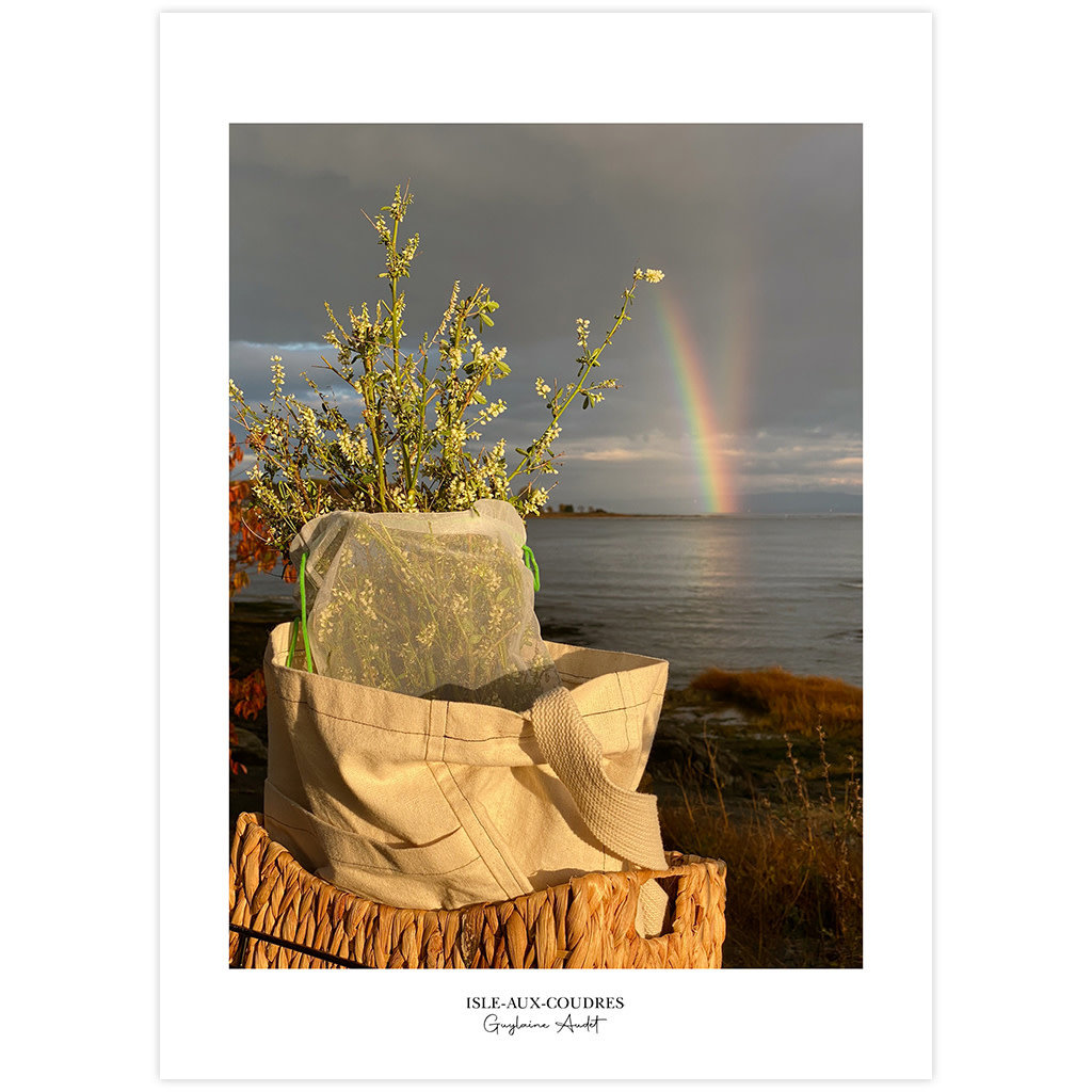 Le 1603 Carte postale - Arc-en-ciel - vertical