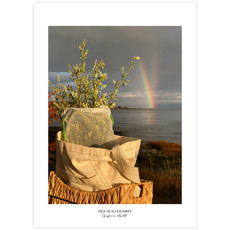 Le 1603 Carte postale - Arc-en-ciel - vertical