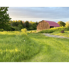 Le 1603 Photo - La grange dans son écrin de verdure - horizontal