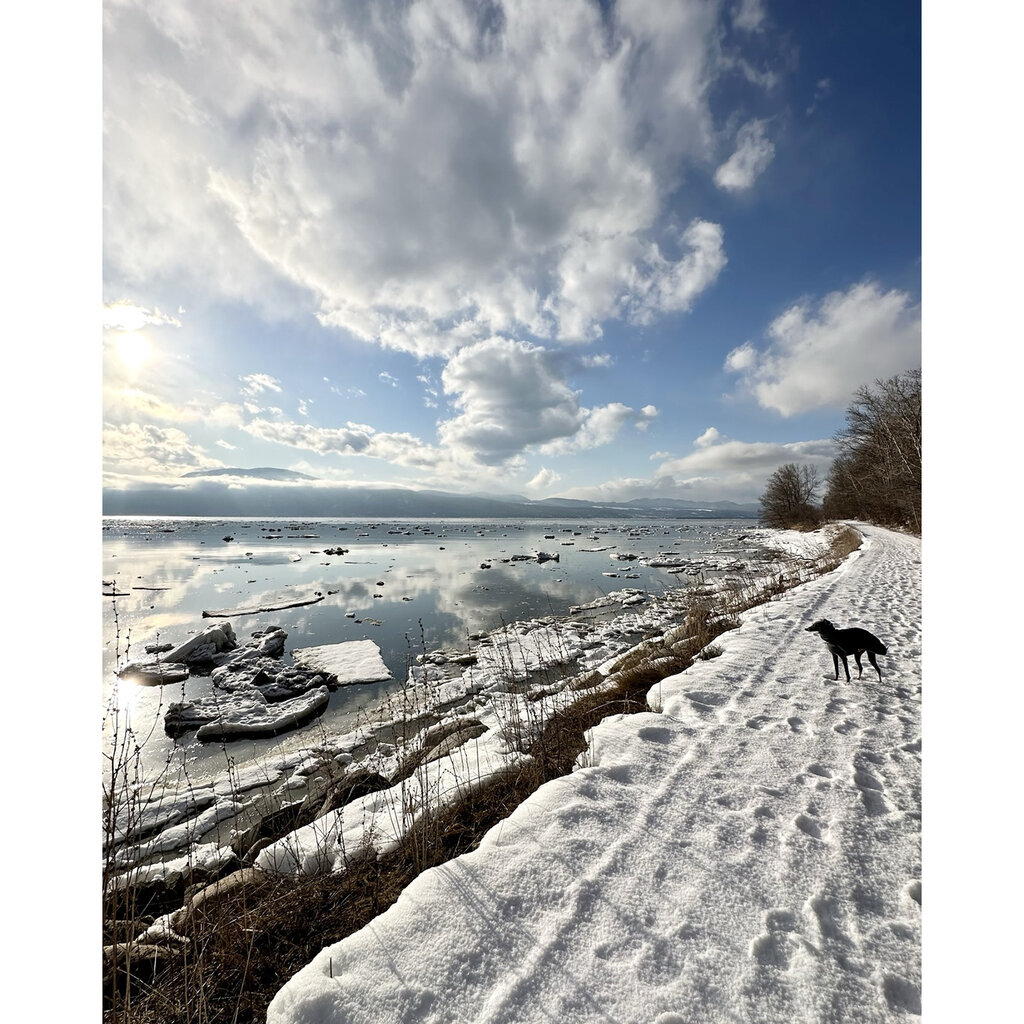 Le 1603 Photo - Promenade hivernale sur la rive- vertical