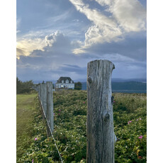 Le 1603 Photo - Clôture ou En ligne comme des piquets!- vertical