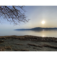 Le 1603 Photo - Canards sur le fleuve ou Voyage de groupe! - horizontal