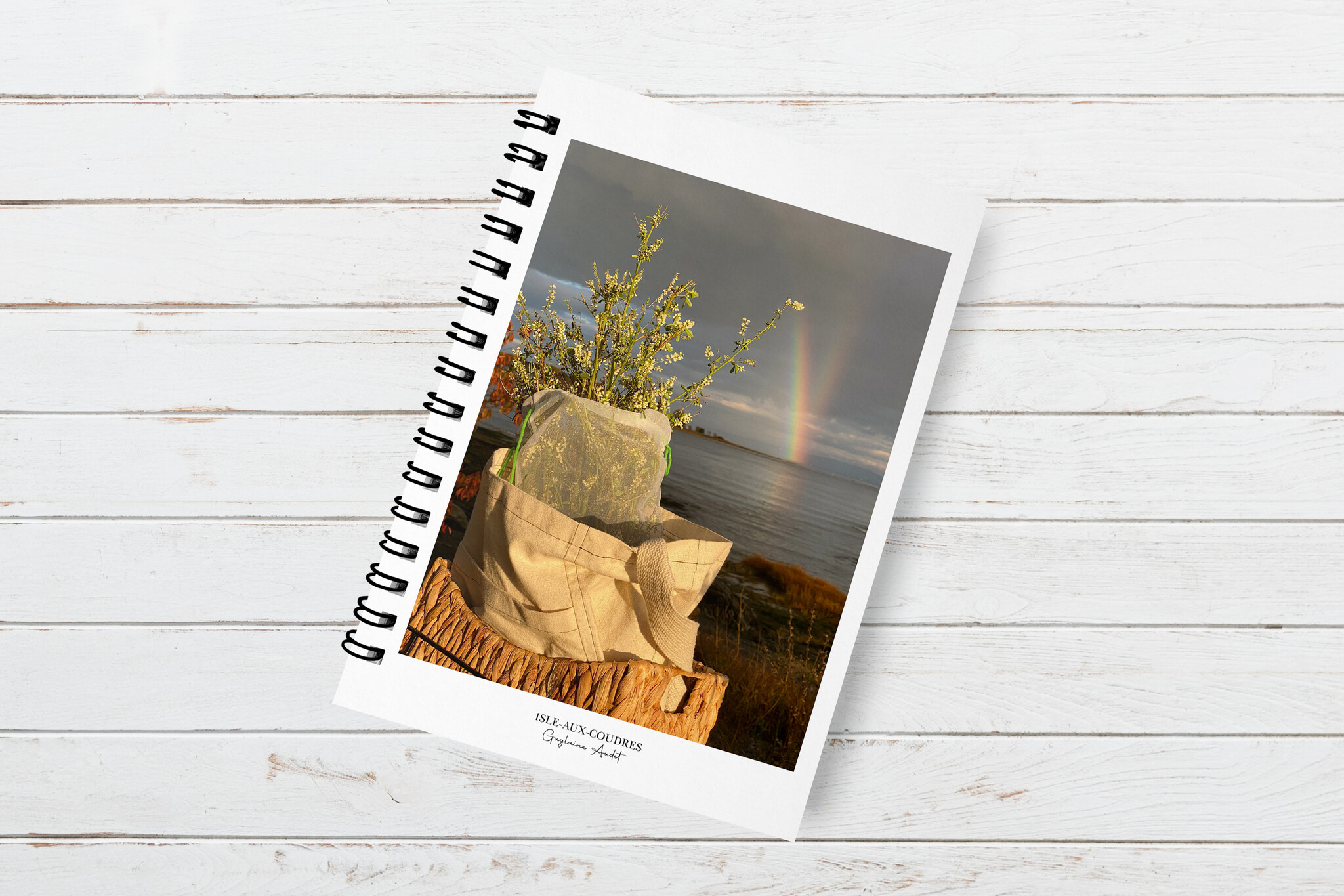 Le 1603 Copy of Carnet boudiné - Arbre solitaire au coucher du soleil