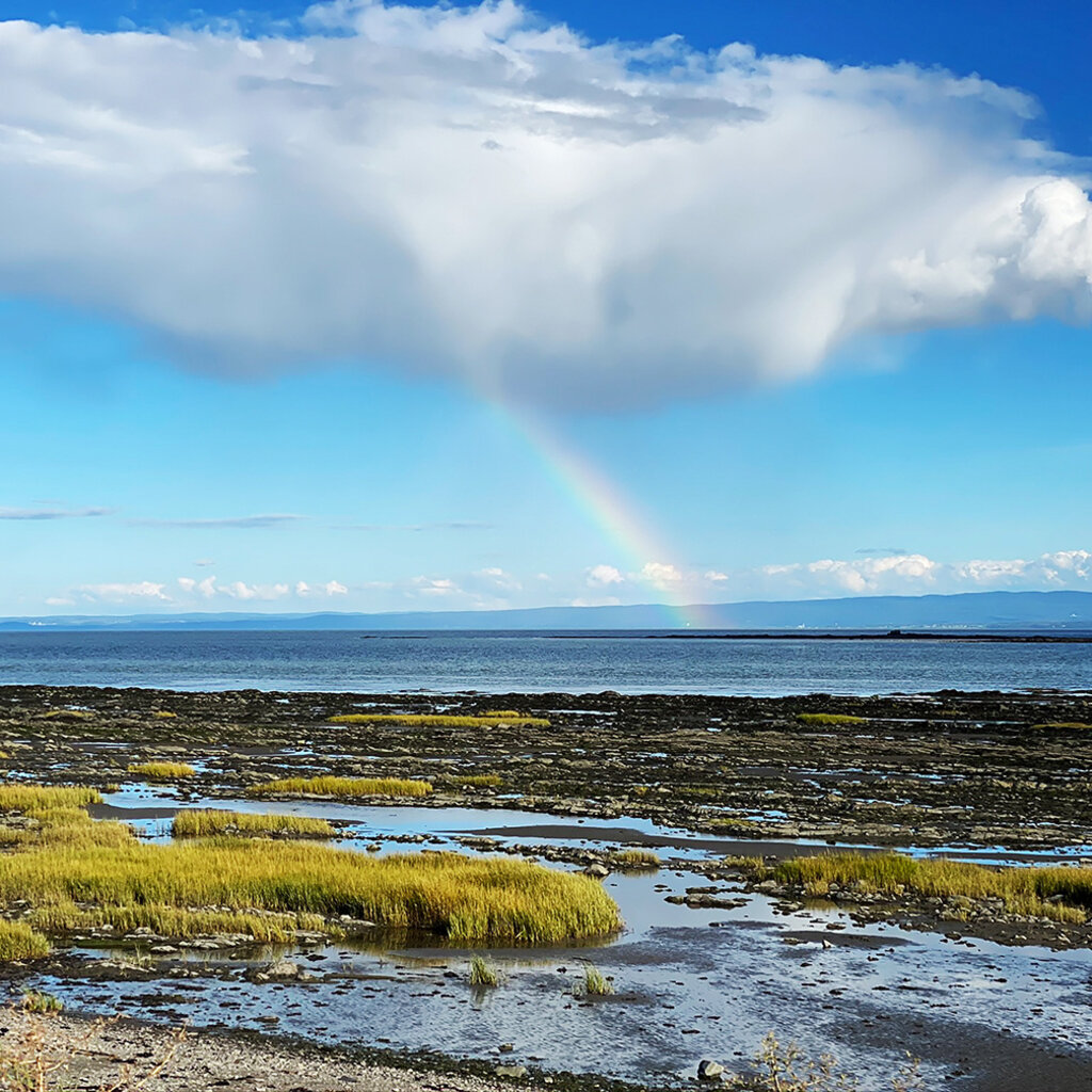 Le 1603 Calendrier 16 mois 2025-2026 - mural