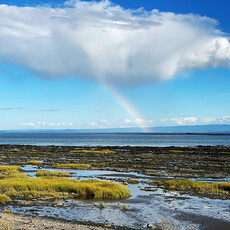 Le 1603 Calendrier 16 mois 2025-2026 - mural