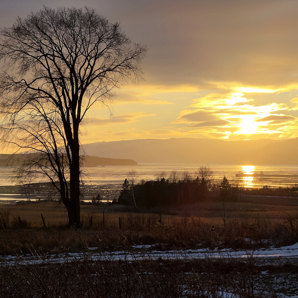 Le 1603 Calendrier 16 mois 2025-2026 - mural