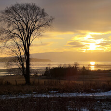 Le 1603 Calendrier 16 mois 2025-2026 - mural