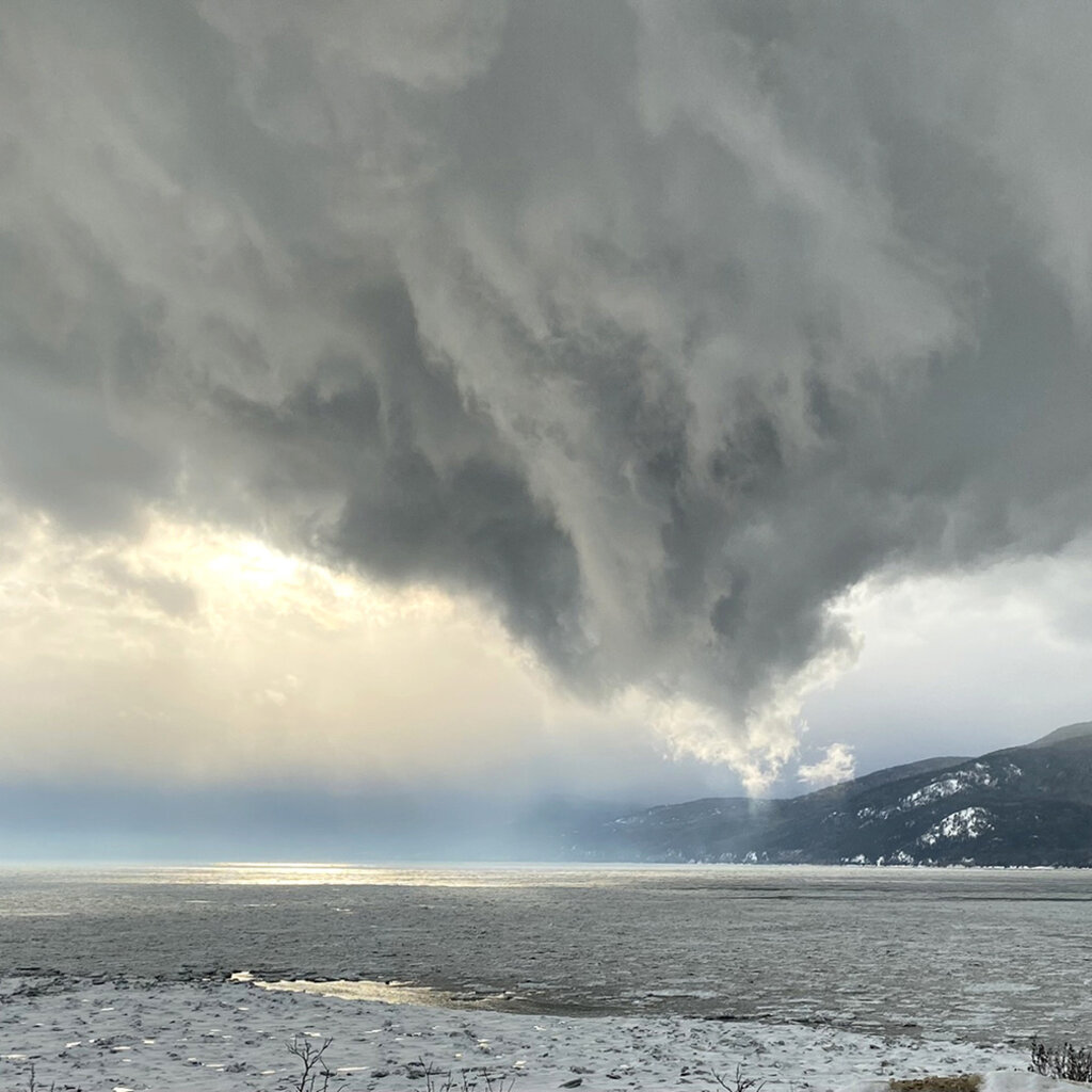 Le 1603 Calendrier 16 mois 2025-2026 - mural