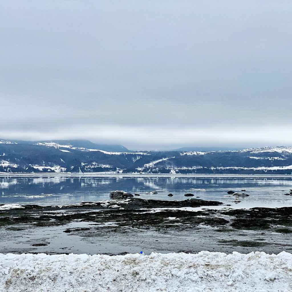 Le 1603 Calendrier 16 mois 2025-2026 - mural